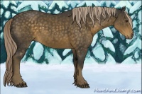 Horse Color:Chocolate Palomino 