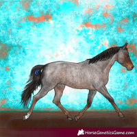 Horse Color:Liver Red Roan 