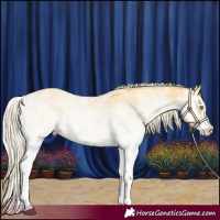Horse Color:White Spotted Palomino Dun 