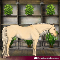 Horse Color:Palomino Dun 