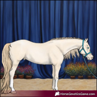 Horse Color:Buckskin Pearl 