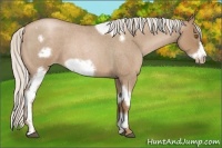 Horse Color:Silver Blue Roan Pearl Tobiano Frame 