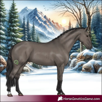 Horse Color:Smoky Grullo 