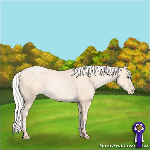 Horse Color:Silver Amber Cream Champagne Pearl 