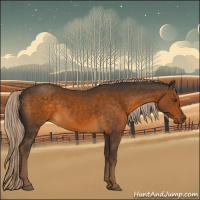 Horse Color:Chocolate Palomino 