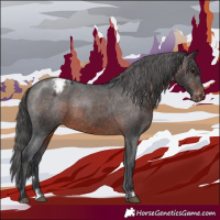 Horse Color:Brown Appaloosa Rabicano 