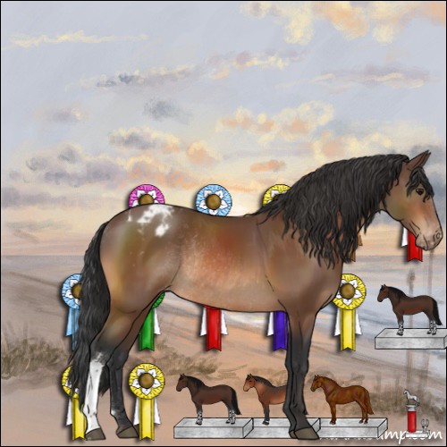 Horse Color:Bay Varnish Rabicano 