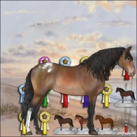 Horse Color:Bay Appaloosa Rabicano