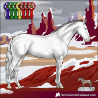 Horse Color:Silver Amber Champagne Sabino Appaloosa Rabicano