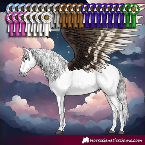 Horse Color:Gray Brown Sabino Rabicano 