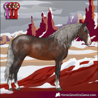 Horse Color:Silver Brown 