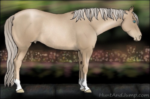 Horse Color:Chocolate Palomino Pearl Rabicano 