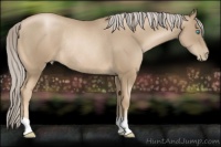 Horse Color:Chocolate Palomino Pearl Rabicano 