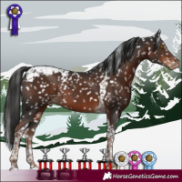 Horse Color:Liver Chestnut Tobiano Snowflake VarnishRabicano 