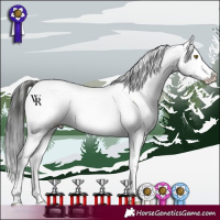 Horse Color:Liver Chestnut Tobiano Appaloosa Rabicano 