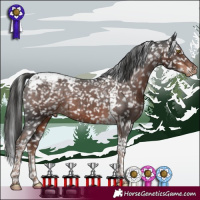 Horse Color:Liver Chestnut Tobiano Snowflake VarnishRabicano 