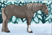 Horse Color:Silver Black 