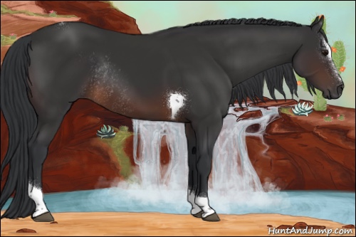 Horse Color:Brown Sabino Tobiano Rabicano 