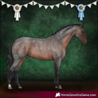Horse Color:Brown Roan