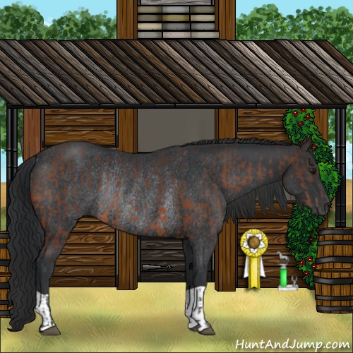 Horse Color:Brown Rabicano  and Black Rabicano 