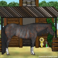 Horse Color:Brown Rabicano  and Black Rabicano 