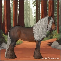 Horse Color:Liver Chestnut 