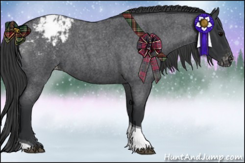 Horse Color:Blue Roan Tobiano Appaloosa 