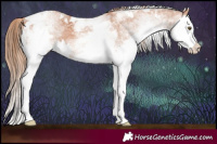 Horse Color:White Spotted Chestnut Splash Tobiano 