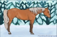 Horse Color:Silver Bay 