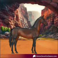 Horse Color:Brown Rabicano 