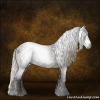 Horse Color:Gray Silver Black 
