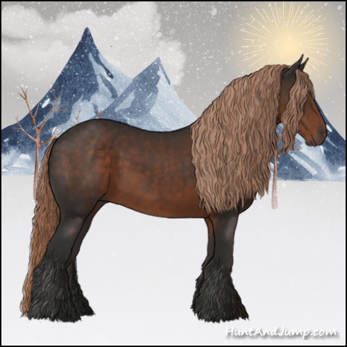 Horse Color:Liver Chestnut 