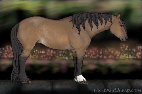 Horse Color:Buckskin Dun Rabicano 
