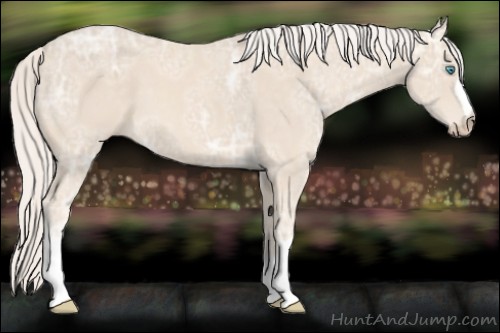 Horse Color:Cremello Ice
