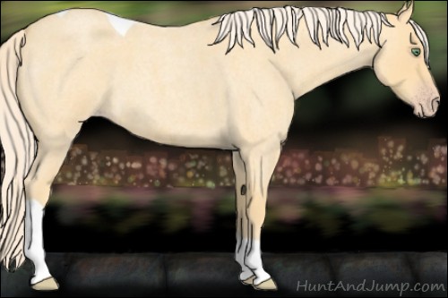 Horse Color:Gold Cream Champagne Roan Tobiano 