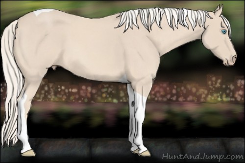 Horse Color:Cremello Roan Tobiano 