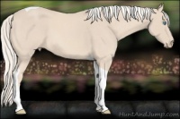 Horse Color:Cremello Roan Tobiano