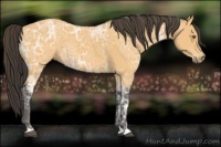 Horse Color:Buckskin Ice 