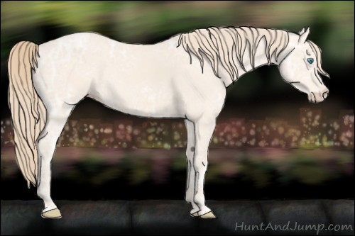 Horse Color:Perlino Ice 