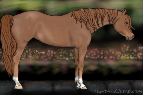 Horse Color:Red Roan 