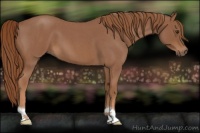Horse Color:Red Roan 