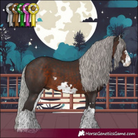 Horse Color:White Spotted Silver Brown