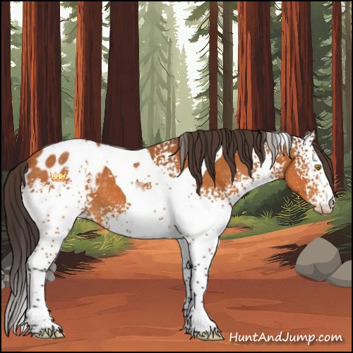Horse Color:White Spotted Buckskin Tobiano Blanket 