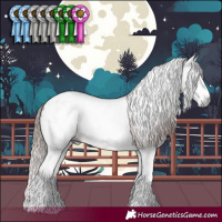 Horse Color:Gray Chestnut Sabino Tobiano Near Leopard 