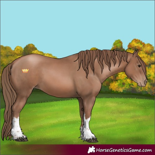 Horse Color:White Spotted Black Pearl 