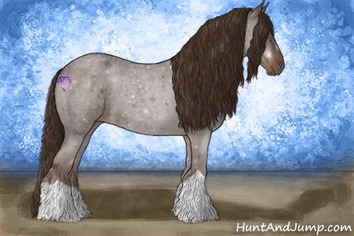 Horse Color:Liver Red Roan 