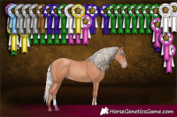 Horse Color:Silver Sable Champagne