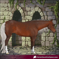 Horse Color:Silver Brown 