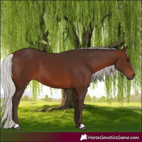 Horse Color:Silver Brown 