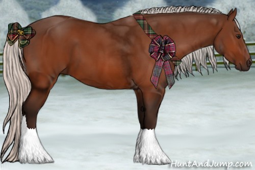 Horse Color:Silver Bay 